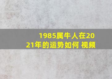 1985属牛人在2021年的运势如何 视频